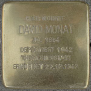 Stolperstein David Monat