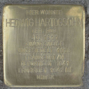 Stolperstein Hedwig Hartogsohn