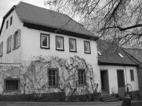 Haus in der Julianenstrasse 2